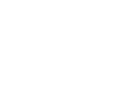 IN PLAN
